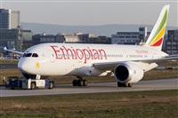 Rubn Gil - Noisy Spotters. Click to see full size photo