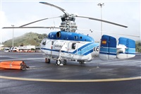 Alfonso Sols - Asociacin Canary Islands Spotting. Haz click para ampliar