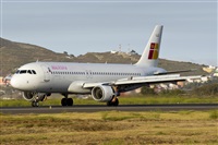 ©Saimon J Rodriguez - Canary Islands Spotting. Click to see full size photo ©Saimon J Rodriguez - Canary Islands Spotting. Click to see full size photo