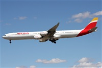 Alfonso Sols - Asociacin Canary Islands Spotting. Click to see full size photo