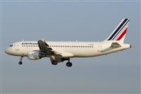 ©Saimon J Rodriguez - Canary Islands Spotting. Click to see full size photo ©Saimon J Rodriguez - Canary Islands Spotting. Click to see full size photo