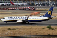 Alfonso Sols - Asociacin Canary Islands Spotting. Click to see full size photo