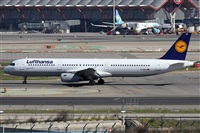 ©Alfonso Solís - Asociación Canary Islands Spotting. Click to see full size photo ©Alfonso Solís - Asociación Canary Islands Spotting. Click to see full size photo
