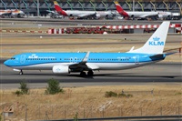 ©Alfonso Solís - Asociación Canary Islands Spotting. Click to see full size photo ©Alfonso Solís - Asociación Canary Islands Spotting. Click to see full size photo