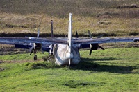 La Roche Spotters. Click to see full size photo