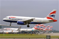 Miguel A. gueda Rguez.  (CANARY ISLANDS SPOTTING). Click to see full size photo