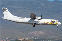 ©Adolfo Bento - Gran Canaria Spotters. Click to see full size photo ©Adolfo Bento - Gran Canaria Spotters. Click to see full size photo