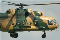 Tams. Click to see full size photo