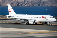 ©Adolfo Bento - Gran Canaria Spotters. Click to see full size photo ©Adolfo Bento - Gran Canaria Spotters. Click to see full size photo