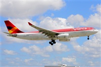 Miguel A. gueda Rguez.  (CANARY ISLANDS SPOTTING). Click to see full size photo