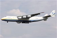 La Roche Spotters. Click to see full size photo