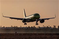 Javier de la Cruz - CANARY ISLANDS SPOTTING. Click to see full size photo