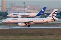 Rodrigo Carvalho - Noisy Spotters. Click to see full size photo