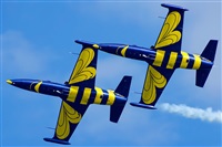 Tams. Click to see full size photo