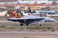Alfonso Sols - Asociacin Canary Islands Spotting. Click to see full size photo