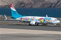©Adolfo Bento - Gran Canaria Spotters. Click to see full size photo ©Adolfo Bento - Gran Canaria Spotters. Click to see full size photo