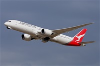 Miguel A. gueda Rguez.  (CANARY ISLANDS SPOTTING). Click to see full size photo