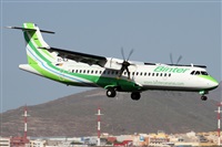 ©Alfonso Solís - Asociación Canary Islands Spotting. Click to see full size photo ©Alfonso Solís - Asociación Canary Islands Spotting. Click to see full size photo