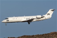 ©Adolfo Bento - Gran Canaria Spotters. Click to see full size photo ©Adolfo Bento - Gran Canaria Spotters. Click to see full size photo
