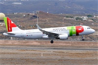 Miguel A. gueda Rguez.  (CANARY ISLANDS SPOTTING). Haz click para ampliar