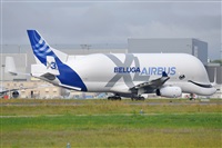 Miguel A. gueda Rguez.  (CANARY ISLANDS SPOTTING). Click to see full size photo