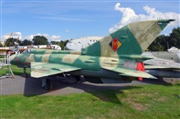 Miguel A. gueda Rguez.  (CANARY ISLANDS SPOTTING). Click to see full size photo