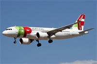 Alfonso Sols - Asociacin Canary Islands Spotting. Click to see full size photo