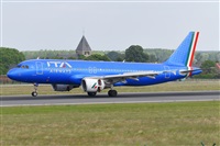 Miguel A. gueda Rguez.  (CANARY ISLANDS SPOTTING). Click to see full size photo