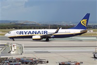 Nacho Rodriguez - Canary Islands Spotting. Haz click para ampliar