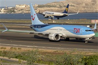 ©Adolfo Bento - Gran Canaria Spotters. Click to see full size photo ©Adolfo Bento - Gran Canaria Spotters. Click to see full size photo