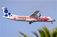 Miguel A. gueda Rguez.  (CANARY ISLANDS SPOTTING). Click to see full size photo