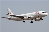 Alfonso Sols - Asociacin Canary Islands Spotting. Click to see full size photo