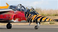 Andrzej Rejter. Click to see full size photo