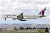 Miguel A. gueda Rguez.  (CANARY ISLANDS SPOTTING). Click to see full size photo