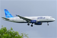 Miguel A. gueda Rguez.  (CANARY ISLANDS SPOTTING). Haz click para ampliar