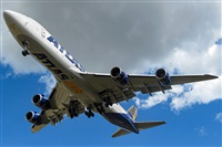 Diogo da Conceio. Click to see full size photo