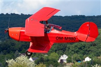 Tams. Click to see full size photo