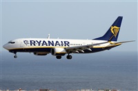 Alfonso Sols - Asociacin Canary Islands Spotting. Click to see full size photo