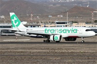 Alfonso Sols - Asociacin Canary Islands Spotting. Click to see full size photo