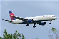 Miguel A. gueda Rguez.  (CANARY ISLANDS SPOTTING). Click to see full size photo