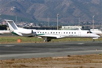 �Manuel Fernandez. Click to see full size photo