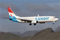 �Adolfo Bento - Gran Canaria Spotters. Click to see full size photo