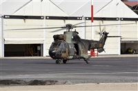 �Pedro M. Moreno. Click to see full size photo