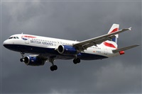 �Alfonso Sol�s - Asociaci�n Canary Islands Spotting. Click to see full size photo