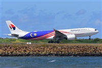 �Miguel A. �gueda Rguez.  (CANARY ISLANDS SPOTTING). Click to see full size photo