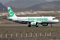 �Alfonso Sol�s - Asociaci�n Canary Islands Spotting. Click to see full size photo