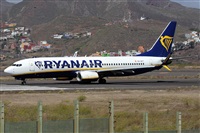 �Alfonso Sol�s - Asociaci�n Canary Islands Spotting. Haz click para ampliar