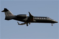 Rodrigo Carvalho - Noisy Spotters. Click to see full size photo