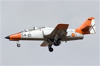 La Roche Spotters. Click to see full size photo