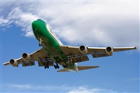 ©José Miguel Bernases - Noisy Spotters. Click to see full size photo ©José Miguel Bernases - Noisy Spotters. Click to see full size photo